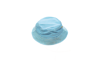 Sonnenhut